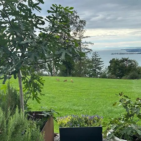 Seeblick Appartement Henle Bregenz Exterior photo