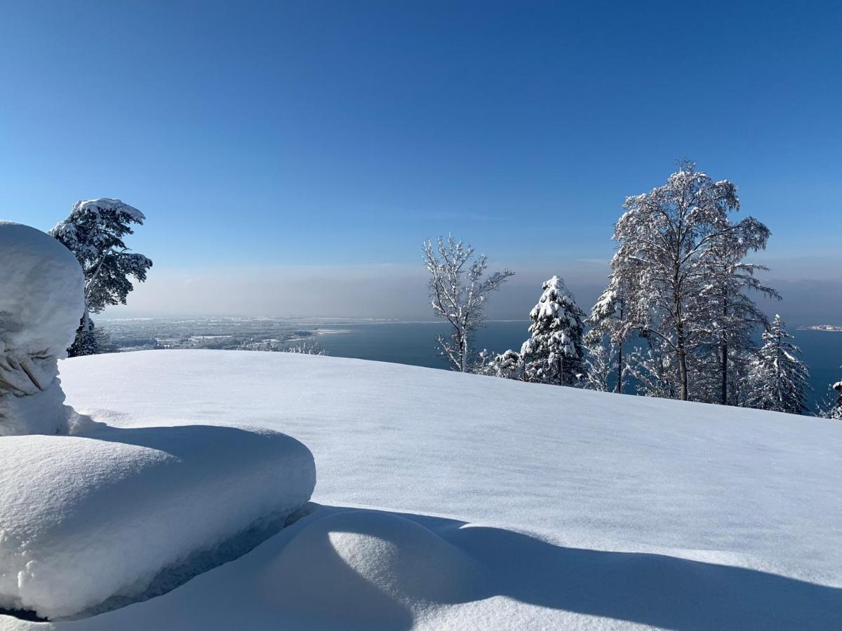 Seeblick Henle Apartment Bregenz