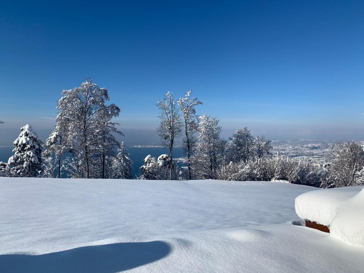 Apartment Seeblick Henle *