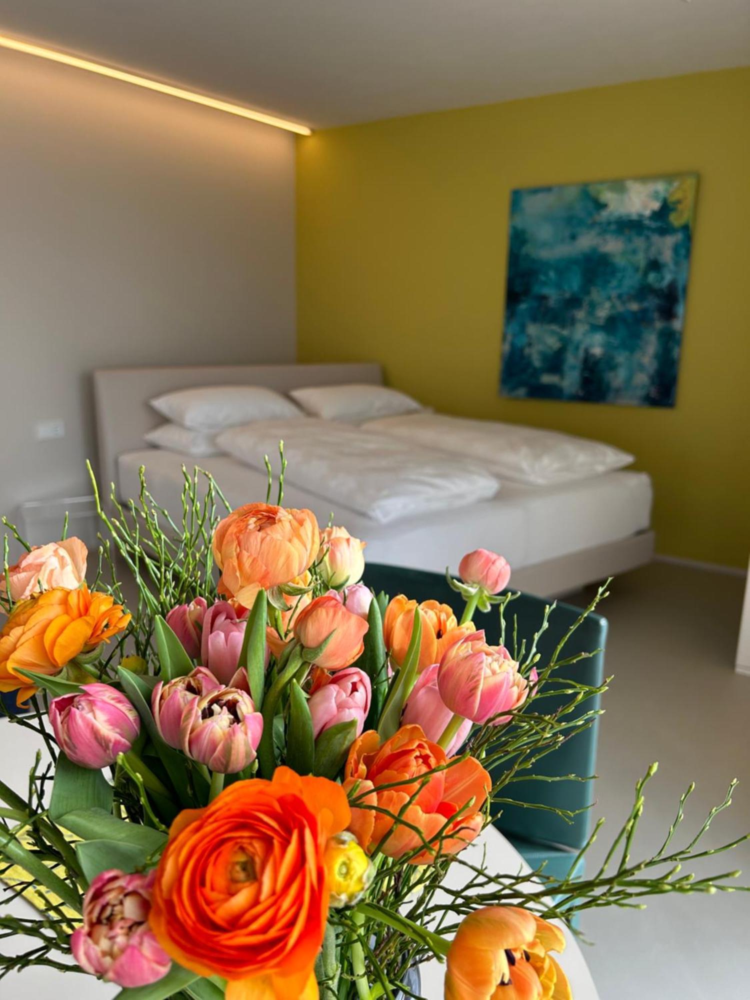 Apartment Seeblick Henle Bregenz