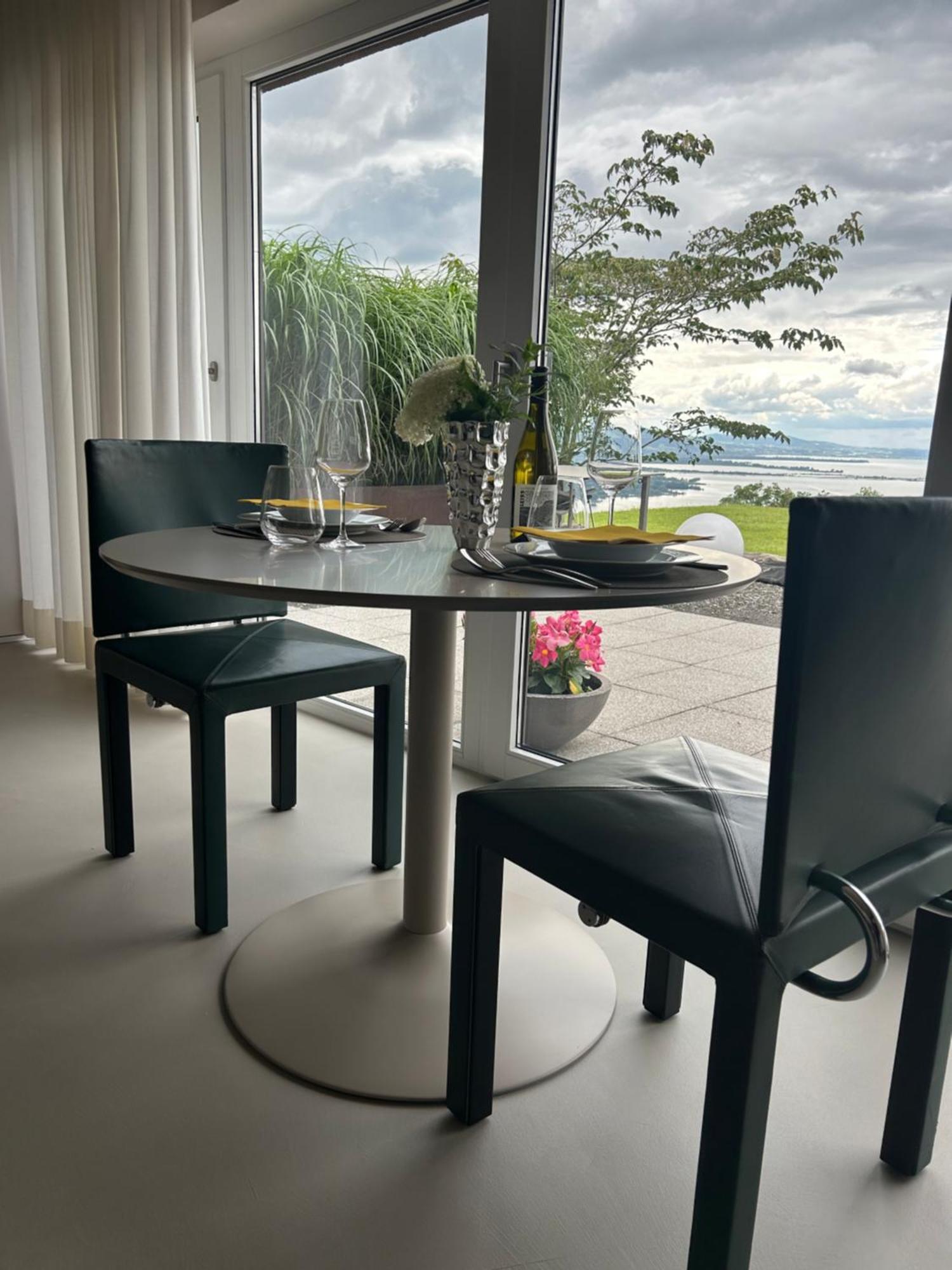 Seeblick Henle * Bregenz