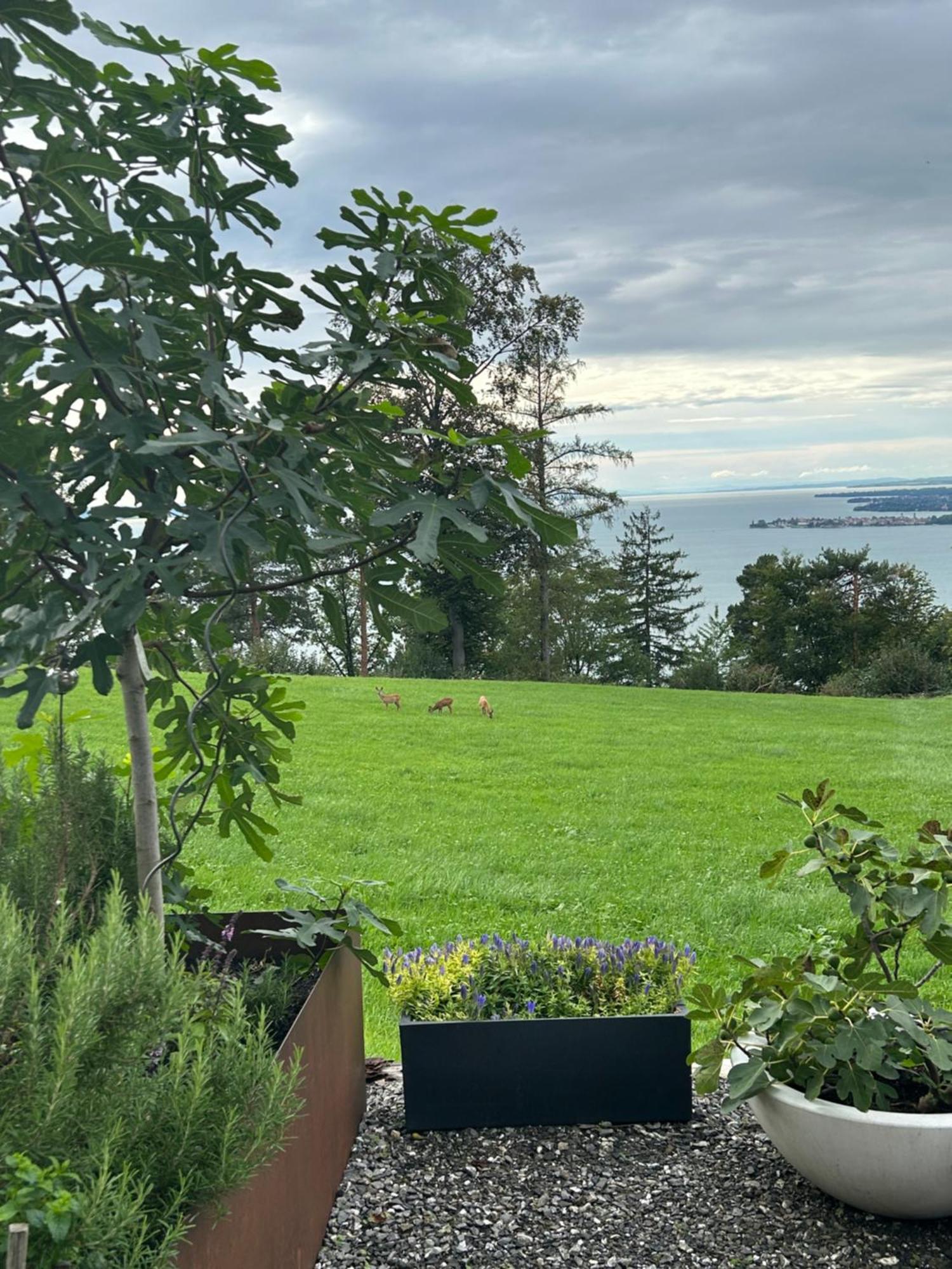Apartment Seeblick Henle